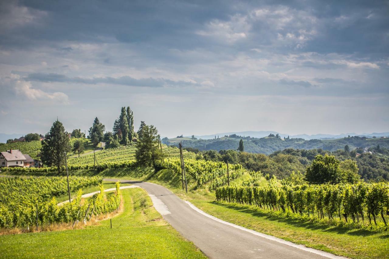 Taverna & Wine Jeruzalem Ivanjkovci エクステリア 写真