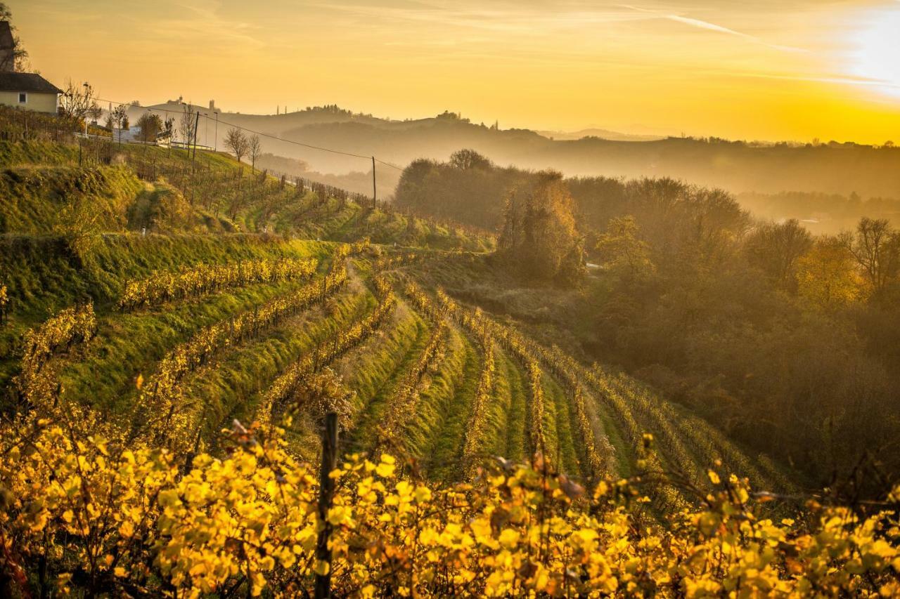 Taverna & Wine Jeruzalem Ivanjkovci エクステリア 写真