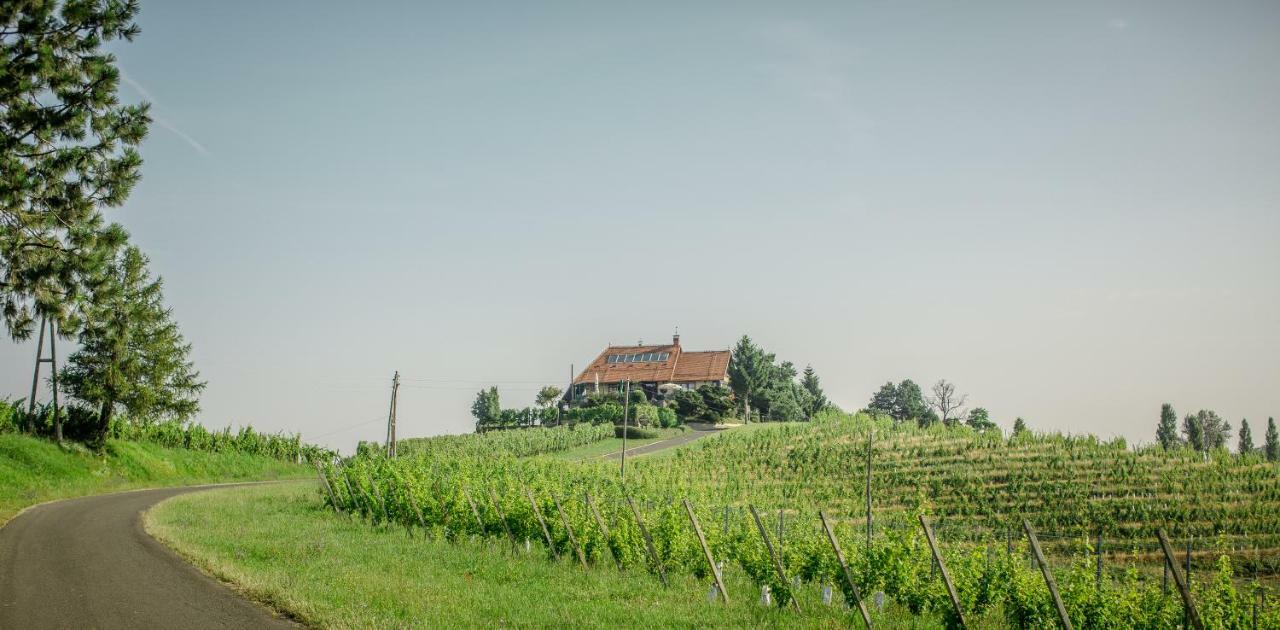 Taverna & Wine Jeruzalem Ivanjkovci エクステリア 写真